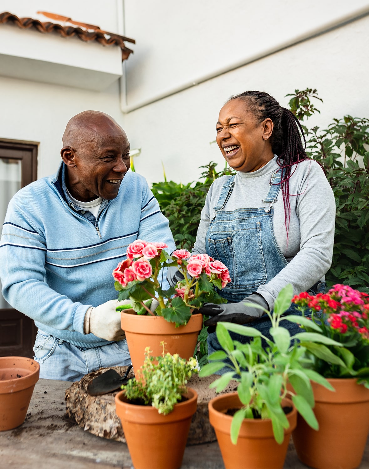 Pensacola Prime Senior Placement